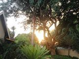 Summer Grace Guest Cottage