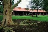 Satara Rest Camp  Kruger National Park SANParks