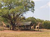 Bezhoek Private Nature Reserve and Tented Camp